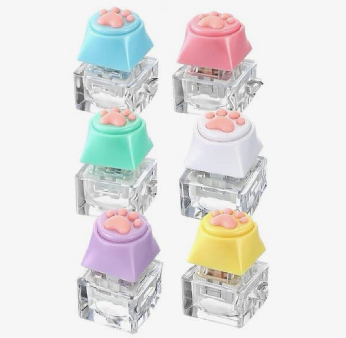 Paw Pop Light-Up Fidget Clicker