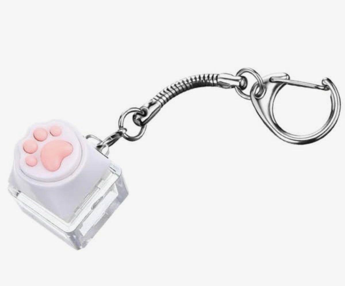 Paw Pop Light-Up Fidget Clicker